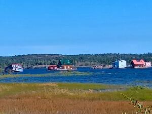 FE732_260824TYO_(15).jpg