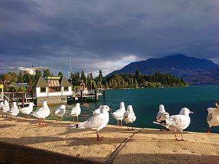 FZ793_230214_TYO_53.jpg