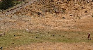 FZ793_230214_TYO_50.jpg