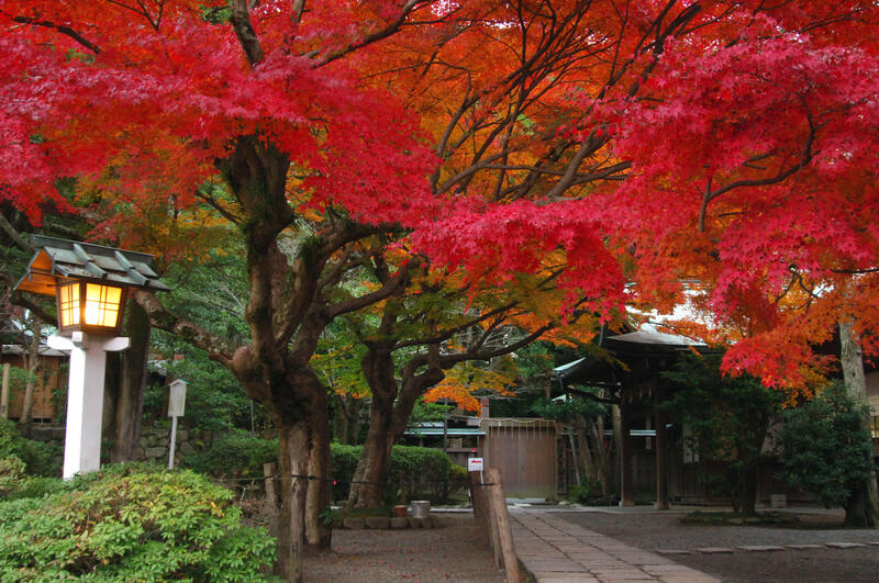 鎌倉（クレジット必要）.jpg