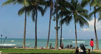 04waikikibeach2.jpg