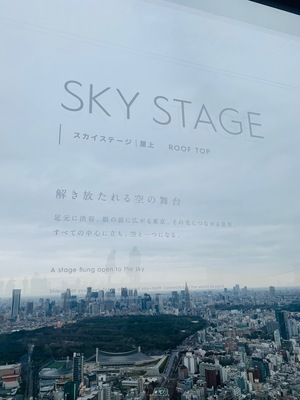 05_skystage.jpg