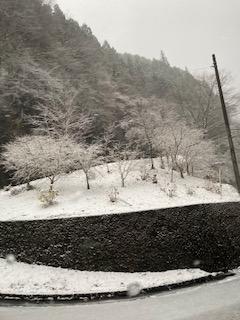 雪景色②.jpg