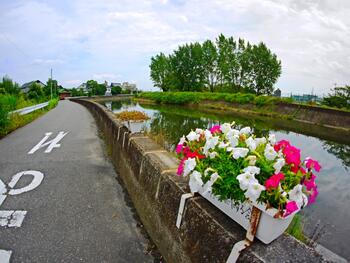 サイクリングロード（蟹江川）.jpg