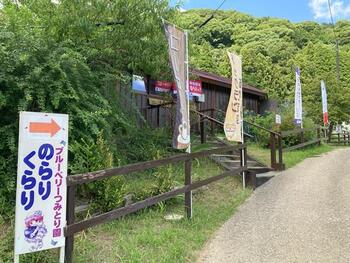 ブルーベリー園１.jpg
