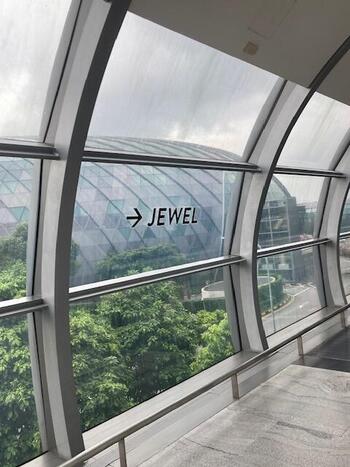 ジュエル道.jpeg