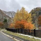 紅葉.jpgのサムネイル画像