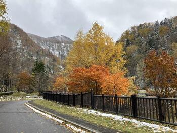 紅葉.jpgのサムネイル画像