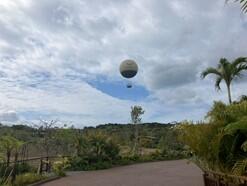 ジャン.jpgのサムネイル画像