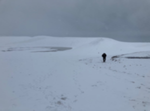 鳥取.pngのサムネイル画像