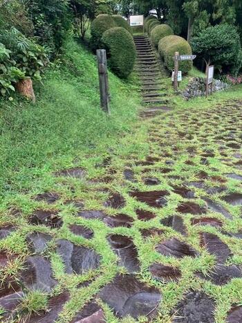 ⑦旧東海道（三島側）.jpg