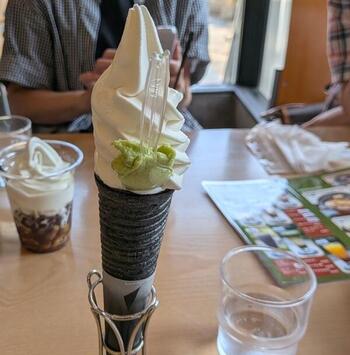 ９．修善寺「CAFE　HIRONO」のワサビソフトクリーム.jpg