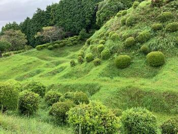 ⑤山中城（障子掘）.jpg