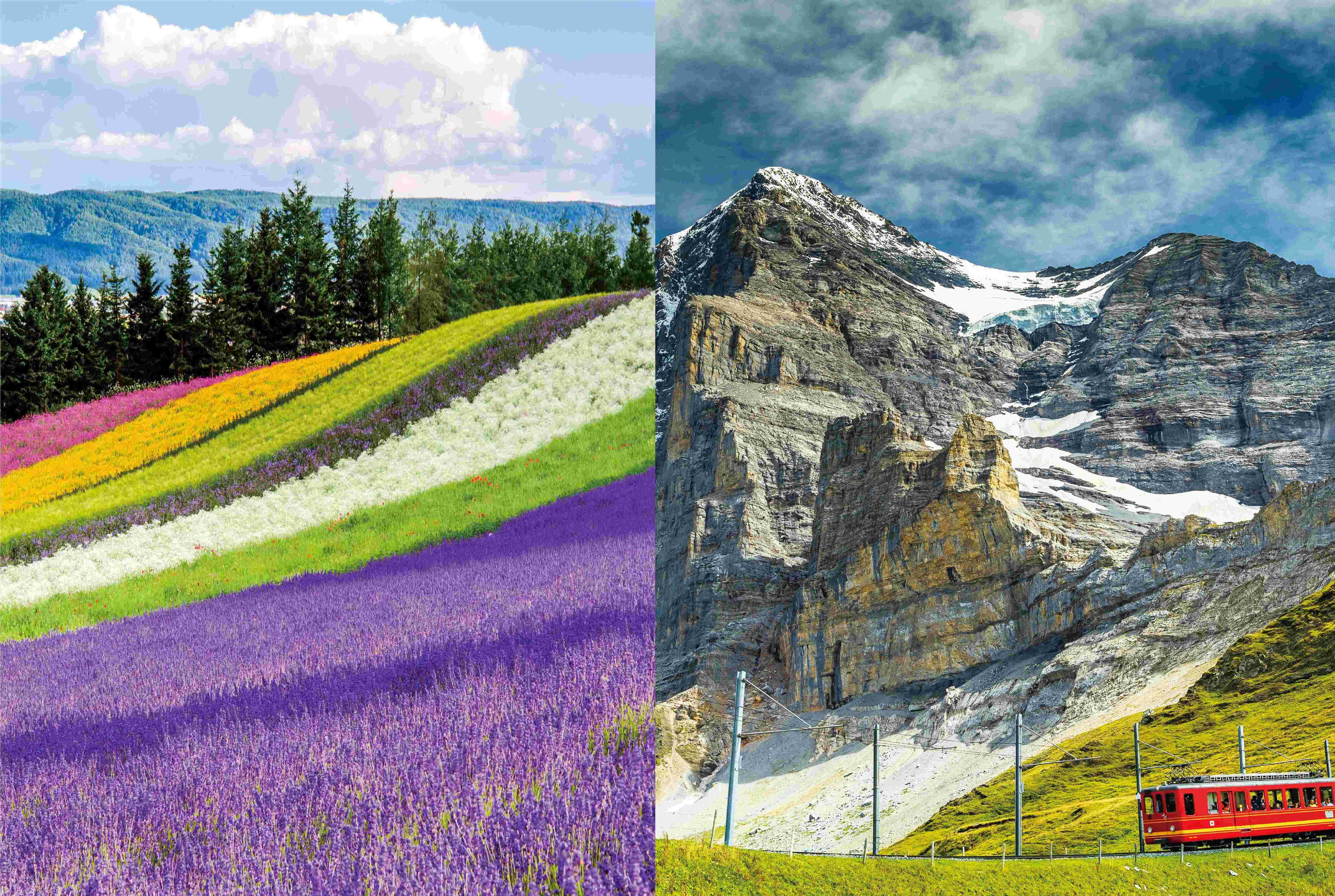 第五回　阪急交通社　優秀ツアー企画社員表彰（2025上期　国内・海外）を行いました